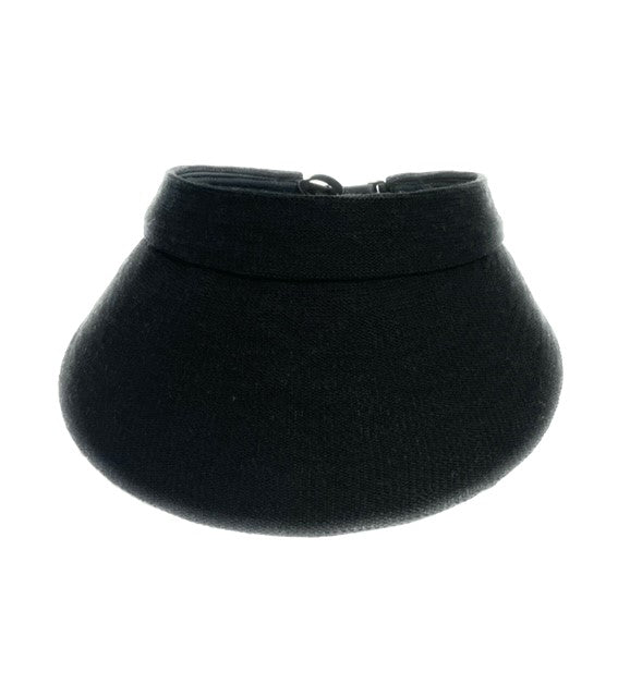 DAISY Visor