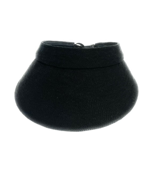 DAISY Visor