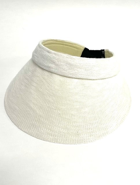 DAISY Visor
