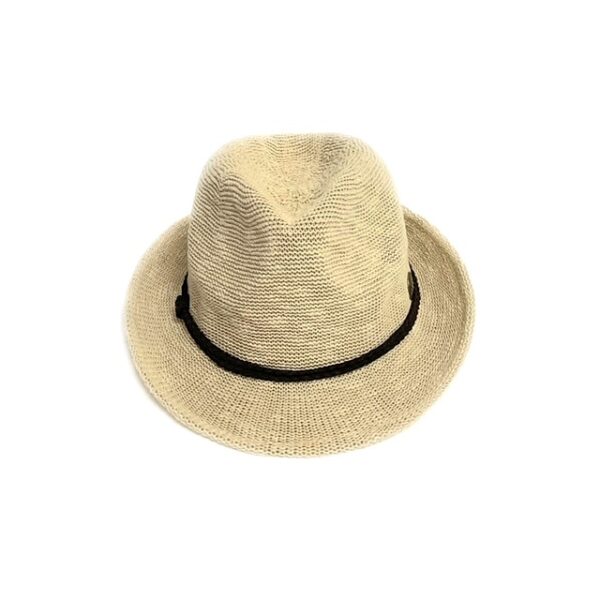 110 244 fedora small brim with suede band